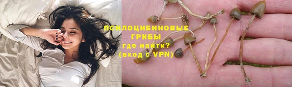 твердый Алзамай