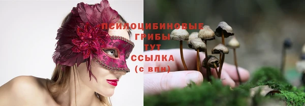 спайс Алексеевка