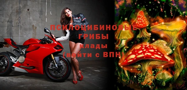 спайс Алексеевка