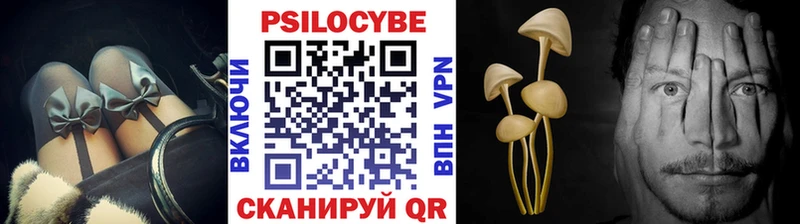 blacksprut онион  Лобня  Псилоцибиновые грибы Magic Shrooms 
